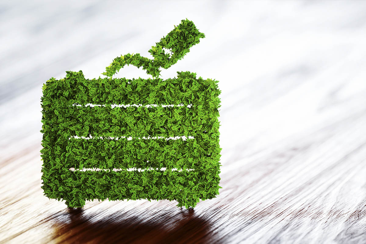 hotel eco-friendly